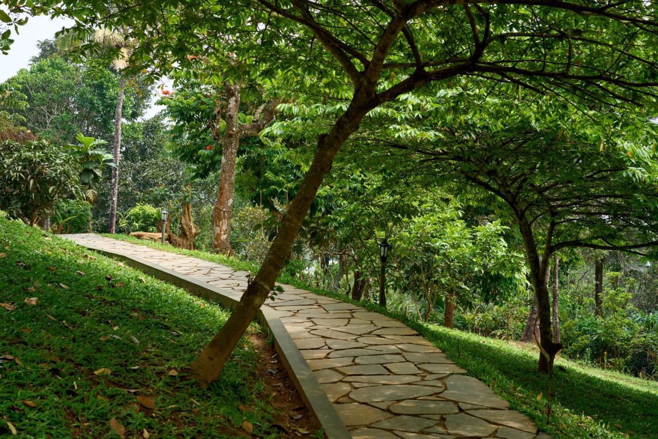 Haze And Kites Resort Munnar Exterior photo