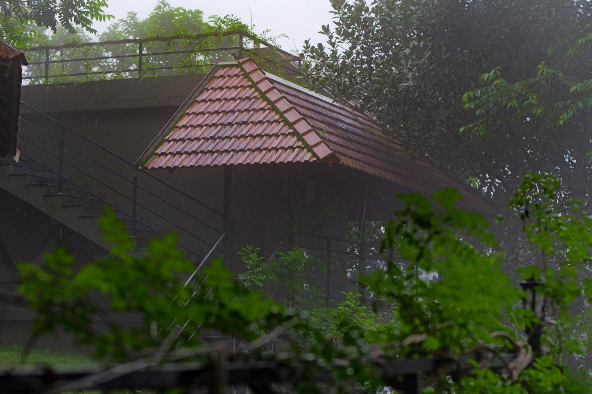 Haze And Kites Resort Munnar Exterior photo
